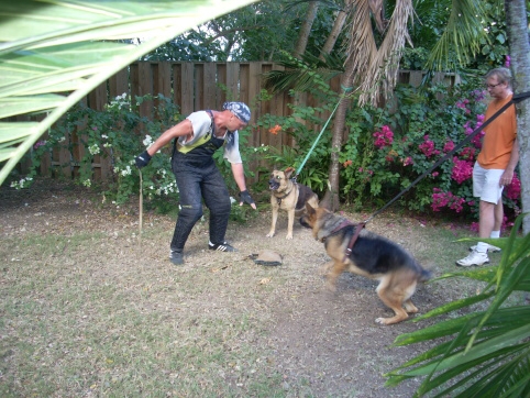 Seminar on Virgin Islands 2008